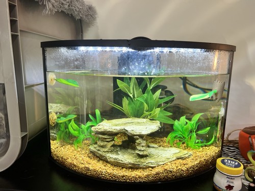 Top fin corner glass aquarium - top,