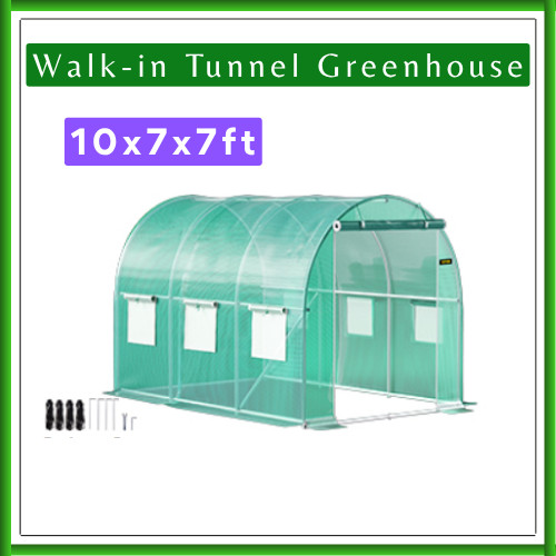 Walk tunnel greenhouse - tunnel,