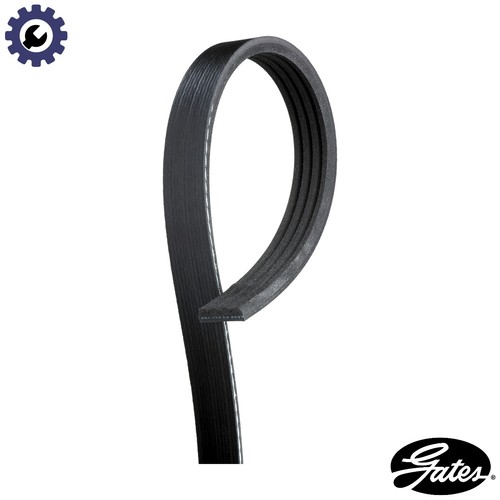 Vribbed belt 4pk913 for - vribbed,