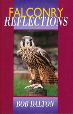 Falconry Reflections - Dalton