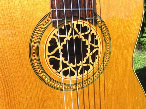 Vintage hagstrom isabella - vintage,