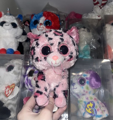Beanie boos gypsy used read - beanie,