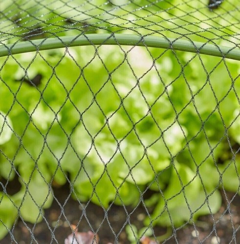 Anti bird netting 6m 8m - 2m,