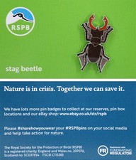 RSPB Pin Badge Stag Beetle