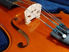 PLJBL - True Intermediate