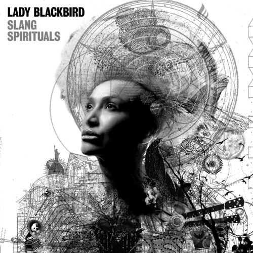 Lady blackbird slang - lady,
