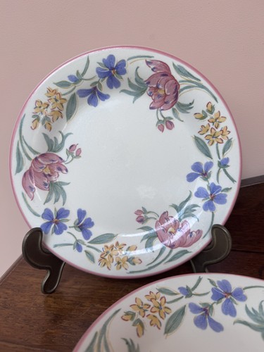 Floral staffordshire tableware - staffordshire,