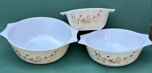 Set s pyrex harvest - ,