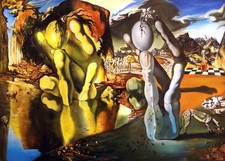 Salvador Dali Metamorphosis of