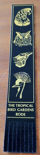 Birds black vintage - birds,