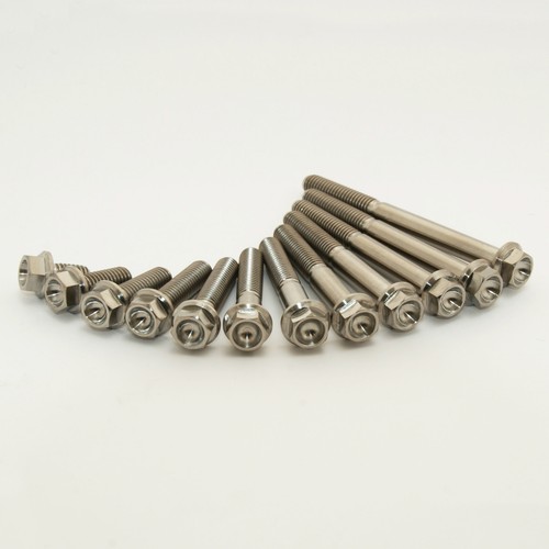 Titanium hex head - m6,