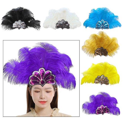 Feather headdress costume - feather,