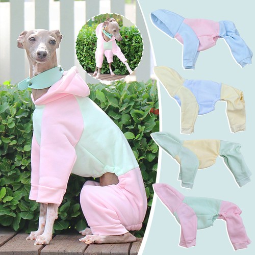 Whippet greyhound dog clothes - greyhound,