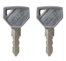 2 Pcs Ignition Keys