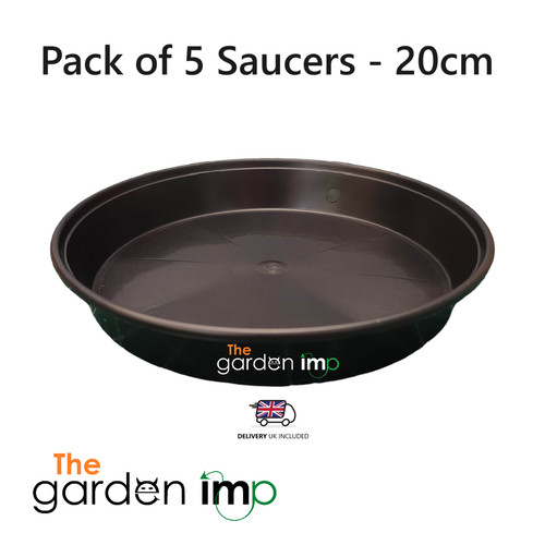 Black saucers plant - saucers, pot