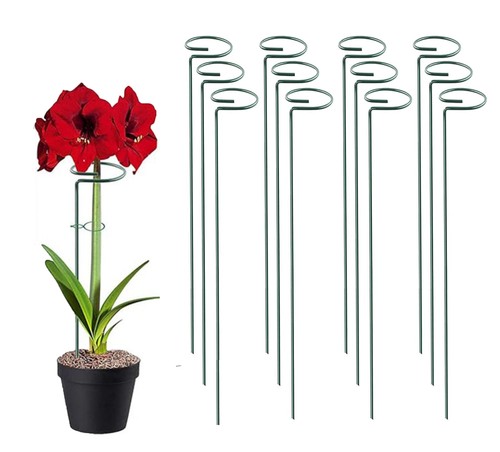 Plant support stakes - 6-30,