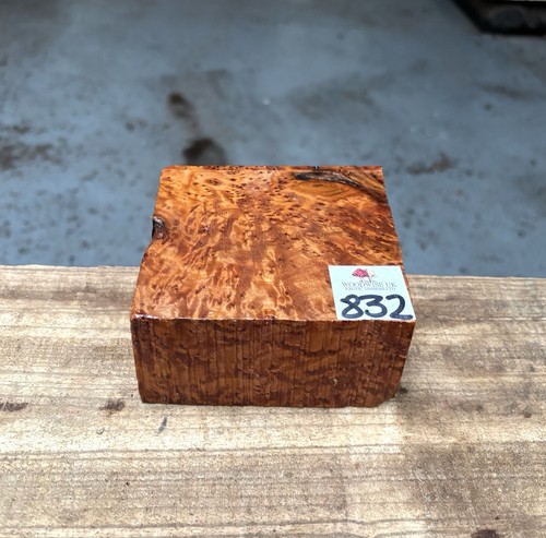 Thuya burr 4 x 2 - burr,