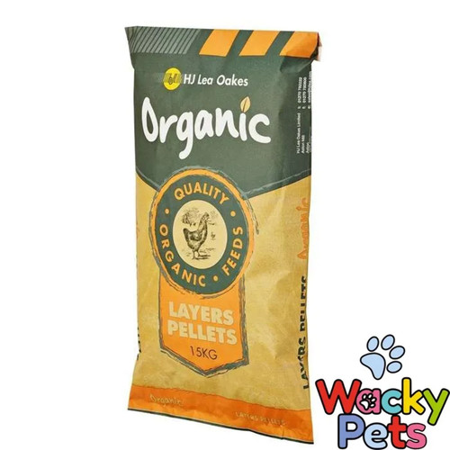 Poultry chicken feed organic - chicken,
