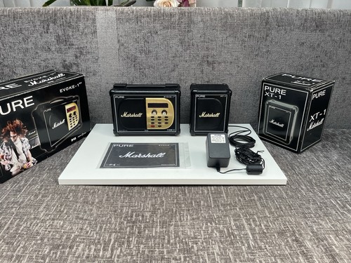 Pure evoke 1xt marshall - pure,