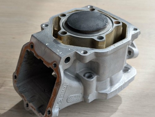 Junior rotax max evo - junior, engine