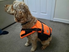 Unused VIVAGLORY  Dog Life