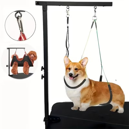 Pet trimming grooming - grooming, arm