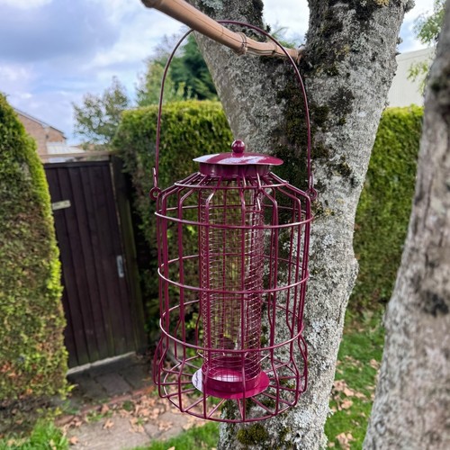 Hanging squirrel proof - hanging,