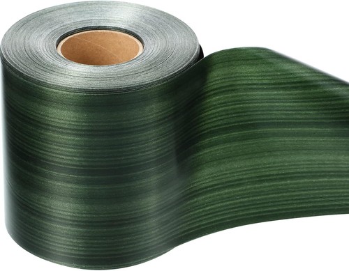 Aspidistra leaf ribbon inch - aspidistra,