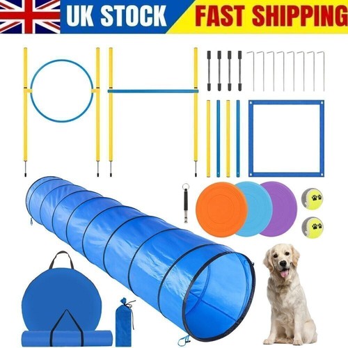 Dog agility equipment tool - equipment,