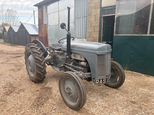 1951 grey fergie tractor - 1951,