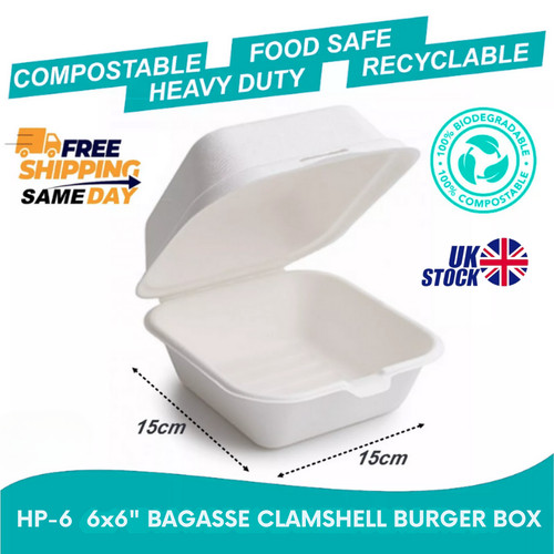 White bagasse food - bagasse,