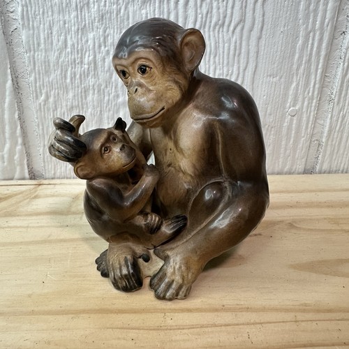 Chimpanzee mother baby - &,