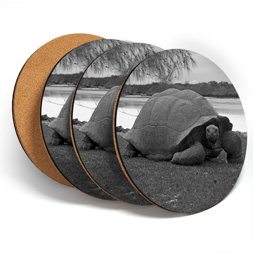 Coasters bw aldabra - 4,
