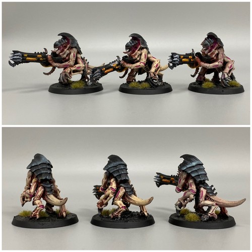 Painted tyrant guard - tyrant,