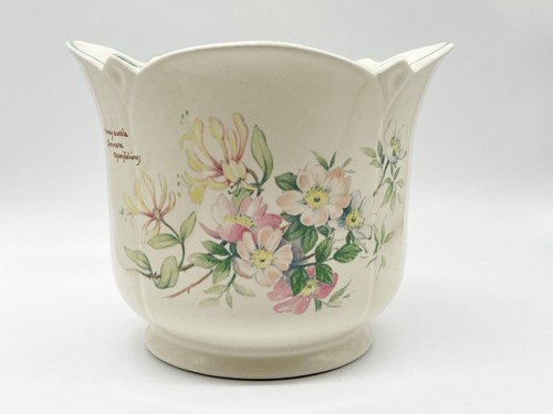 Vintage planter plant pot - plant,