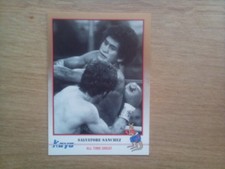 SALVADOR SANCHEZ 1991 KAYO