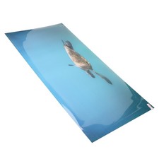 Aquarium Background Paper PVC