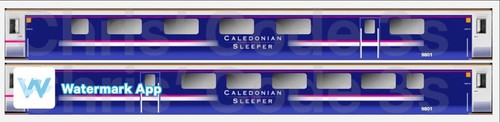 Adhesive vinyl coach decal - vinyl,