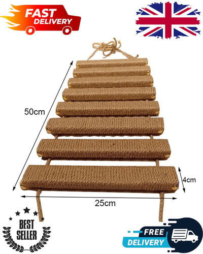 Cat climbing ladder bridge for - climbing,