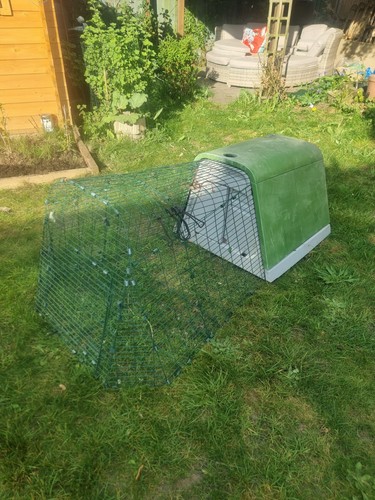 Omlet eglu guinea pig cage - eglu,