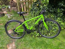 Frog 69cm mountain bike in