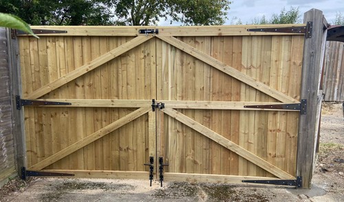 12ft wide garden - garden, driveway