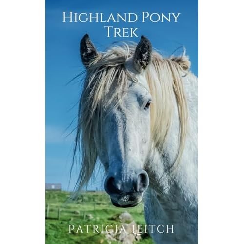 Highland pony trek - -,