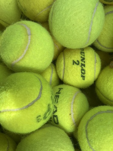 Used tennis balls lovely - used,