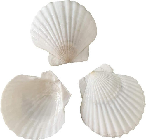Pcs inch natural - pcs, 2-3