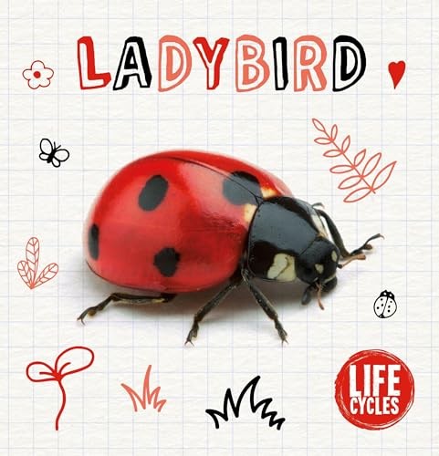 Ladybird - , cycles)