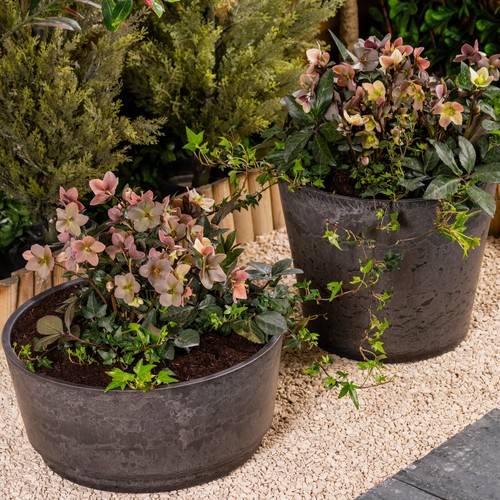 Garden gear caesar charcoal - garden,