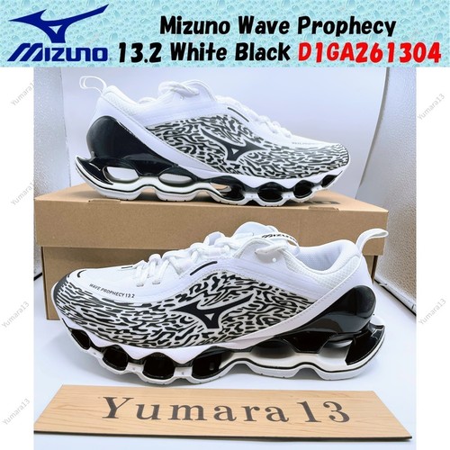 Mizuno wave prophecy - wave,