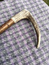 Deer Antler Handle Hazel Walking Stick 41.5" Long Antler 7" Widest