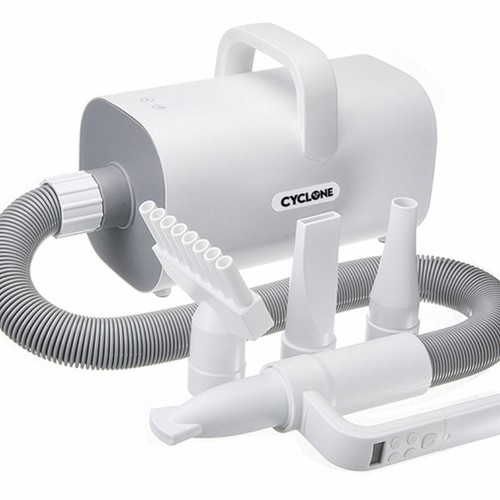 2025 cyclone compact - 2025, dog